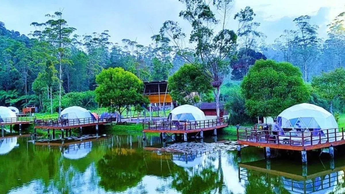 Ranca Upas: Bermain Bersama Rusa di Alam Terbuka Ciwidey